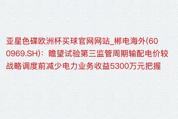 亚星色碟欧洲杯买球官网网站_郴电海外(600969.SH)：瞻望试验第三监管周期输配电价较战略调度前减少电力业务收益5300万元把握
