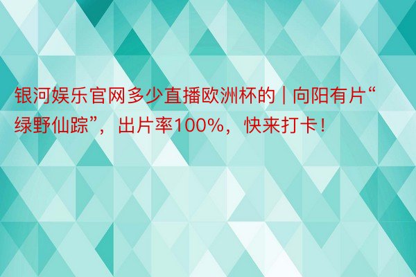 银河娱乐官网多少直播欧洲杯的 | 向阳有片“绿野仙踪”，出片率100%，快来打卡！
