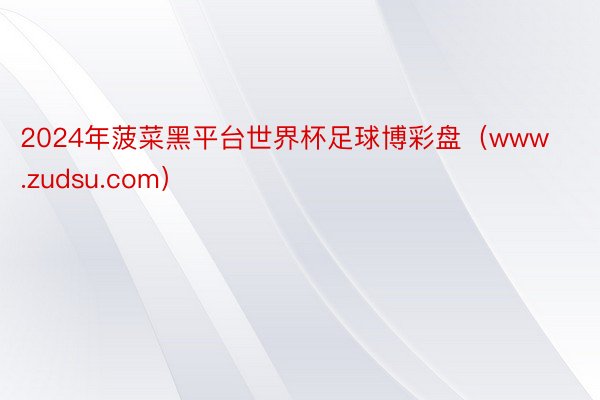 2024年菠菜黑平台世界杯足球博彩盘（www.zudsu.com）