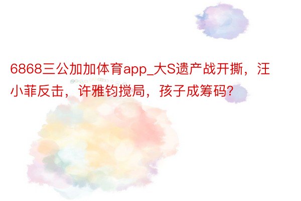 6868三公加加体育app_大S遗产战开撕，汪小菲反击，许雅钧搅局，孩子成筹码？